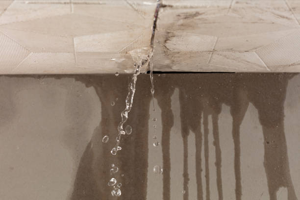 Professional Water Damage Repair technician working in Sunny Side, GA